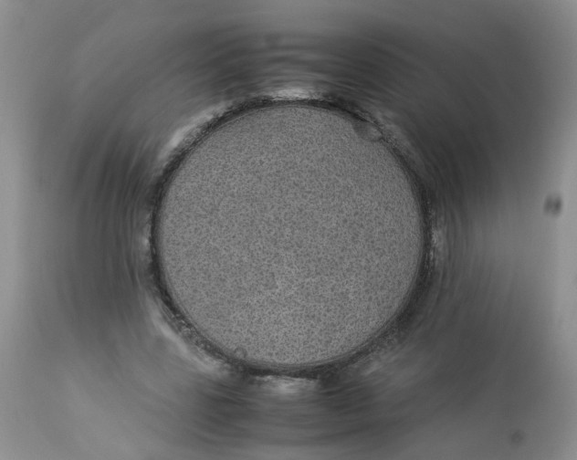 X0000112870539200909111535