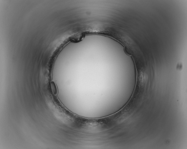 X0000112870540200909111535