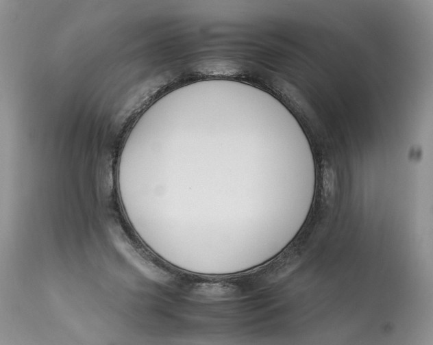 X0000112870541200909111535