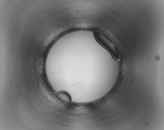 X0000112870544200909111535