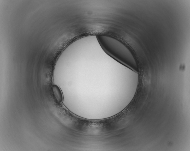 X0000112870546200909111535