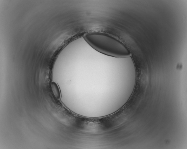 X0000112870548200909111535