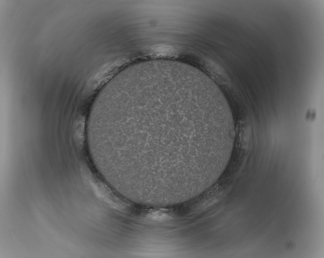 X0000112870550200909111535