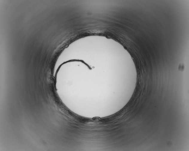 X0000112870556200909111535