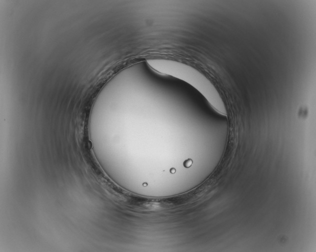 X0000112870558200909111535