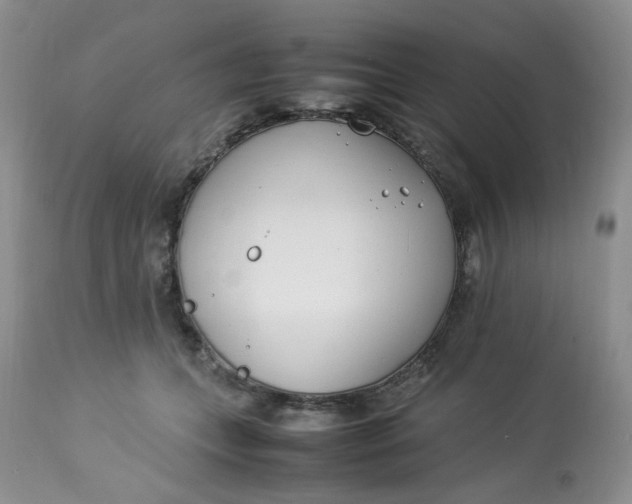 X0000112870559200909111535