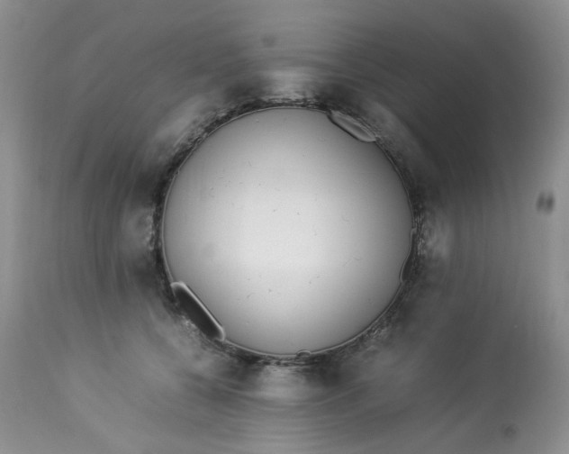 X0000112870560200909111535