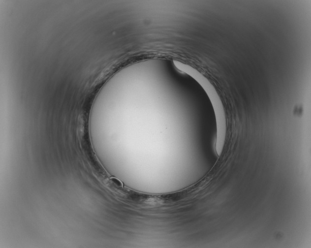 X0000112870562200909111535