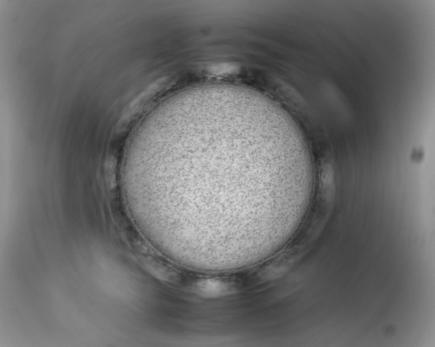 X0000112870565200909111535