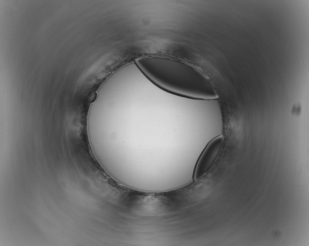 X0000112870566200909111535