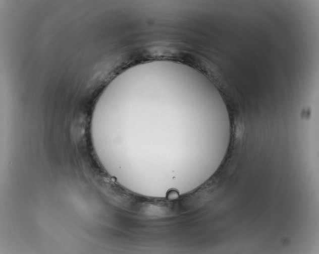 X0000112870567200909111535