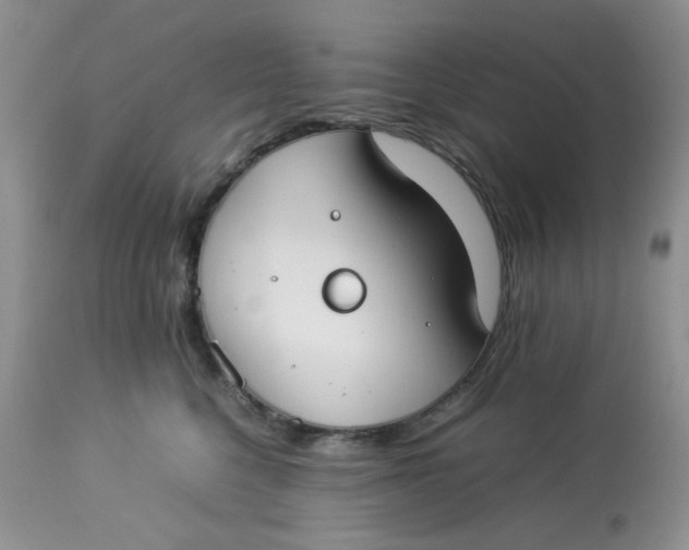 X0000112870568200909111535