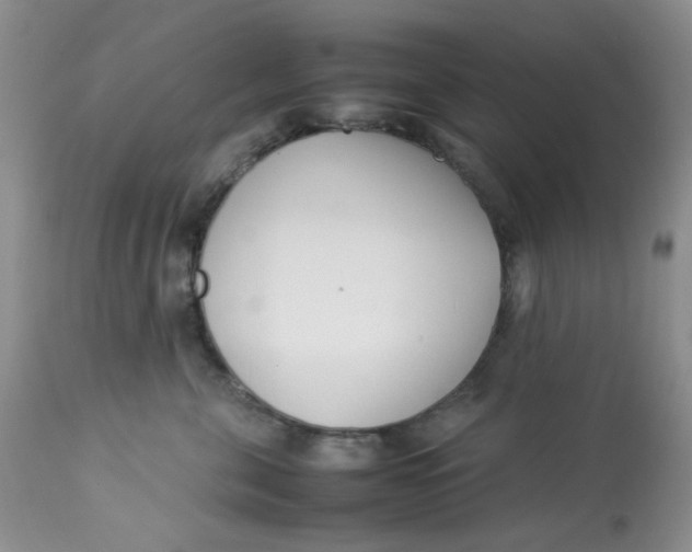 X0000112870571200909111535