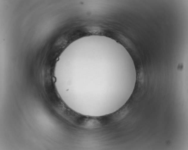 X0000112870572200909111535