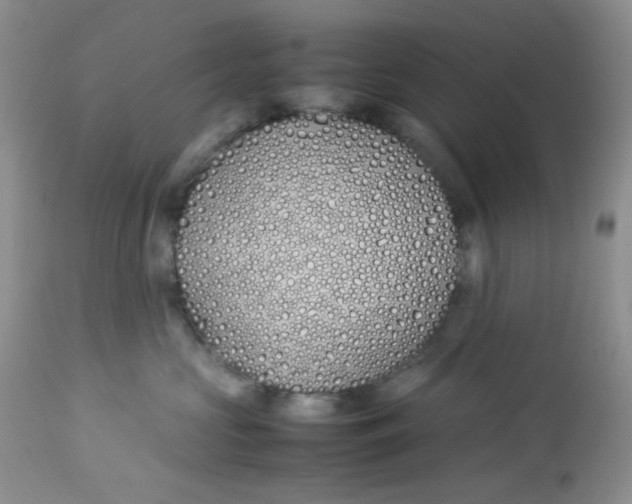 X0000112870573200909111535