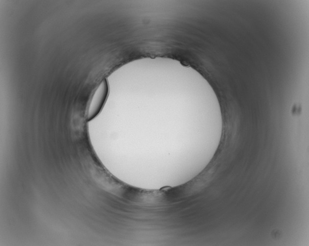 X0000112870576200909111535