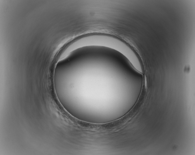 X0000112870579200909111534