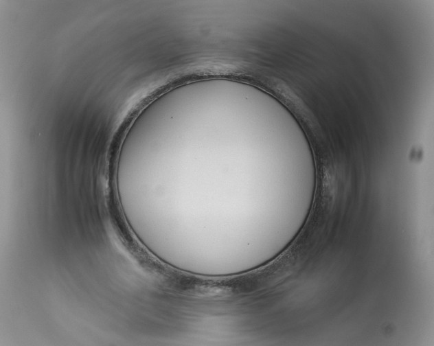 X0000112870582200909111534