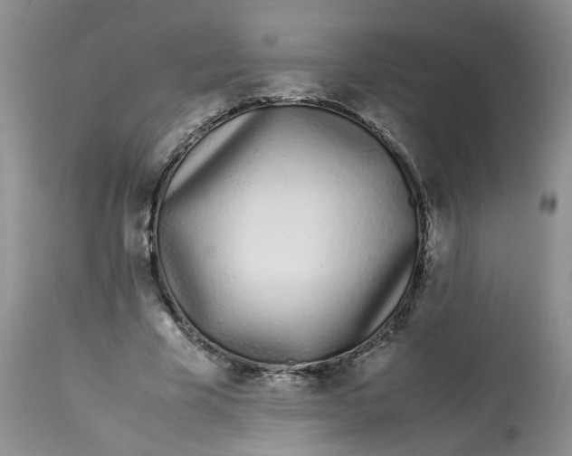 X0000112870585200909111534