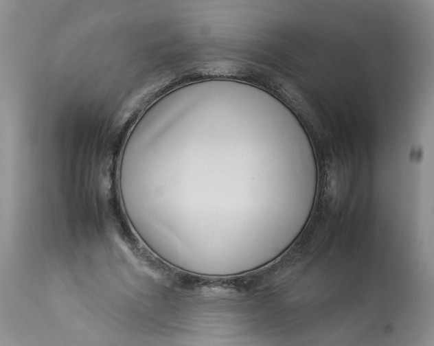 X0000112870586200909111534