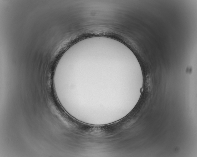 X0000112870589200909111534