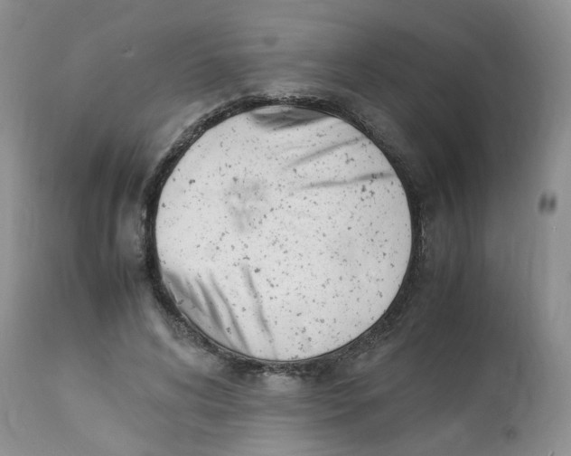 X0000112870592200909111534