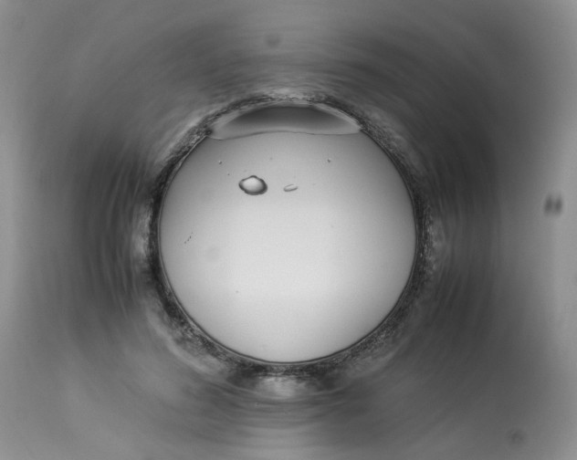 X0000112870596200909111534