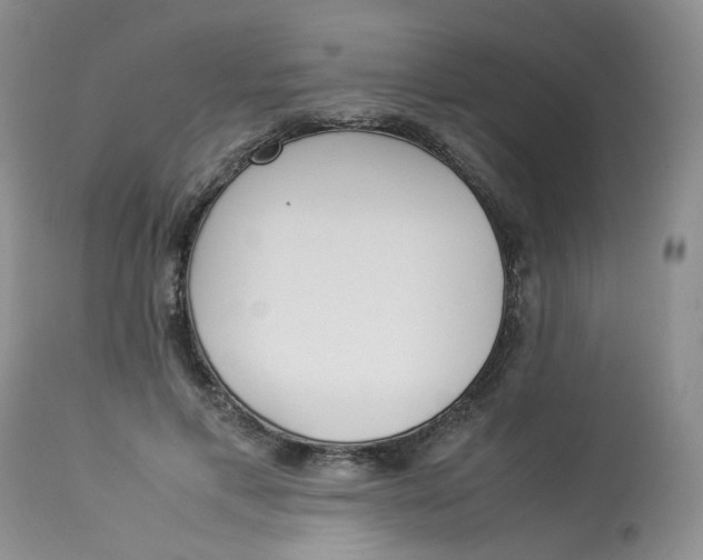 X0000112870597200909111534