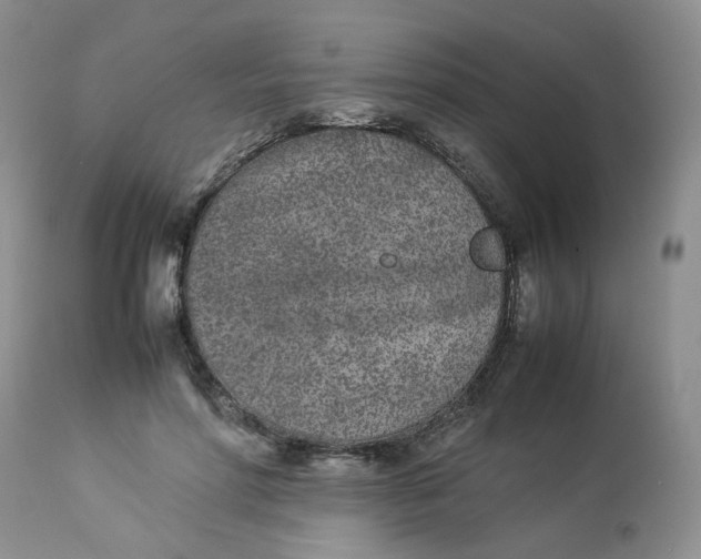 X0000112870598200909111534