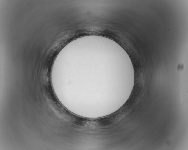 X0000112870599200909111534