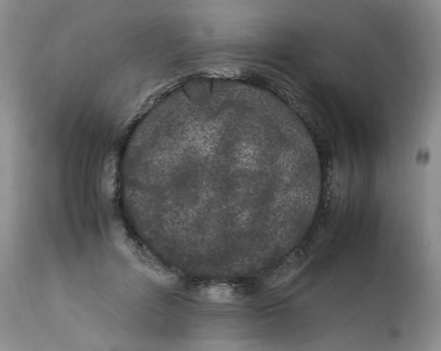 X0000112870600200909111534