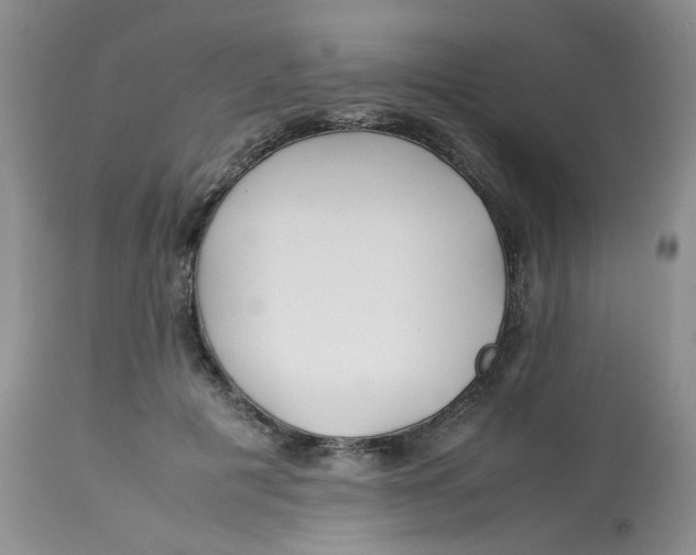 X0000112870601200909111534