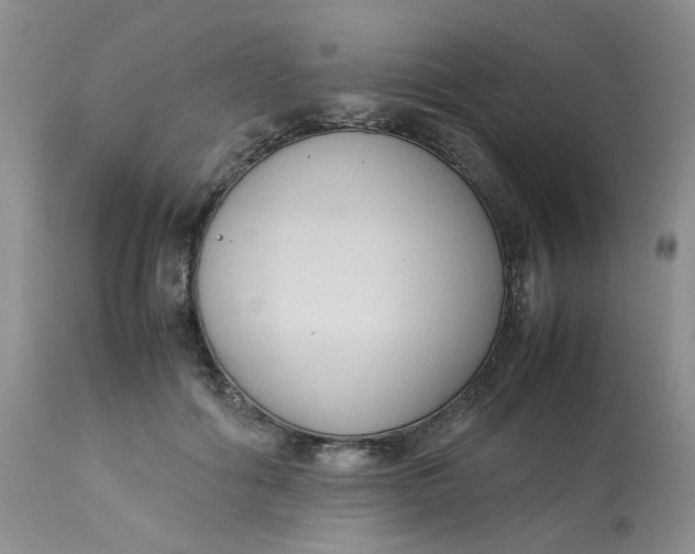 X0000112870602200909111534