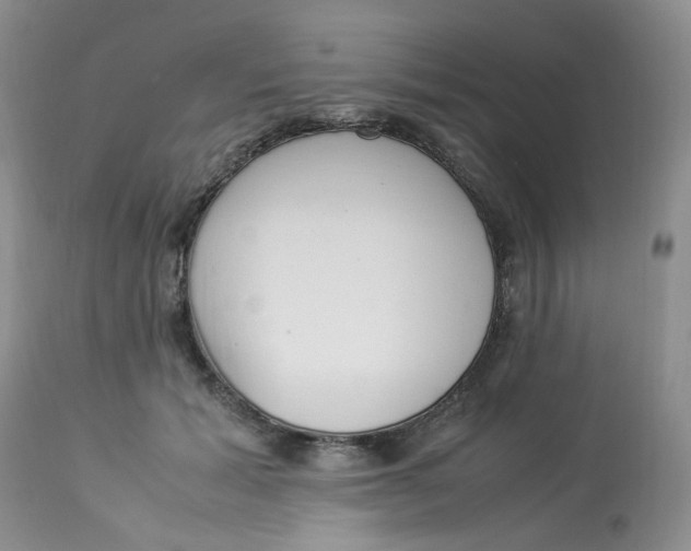 X0000112870605200909111534