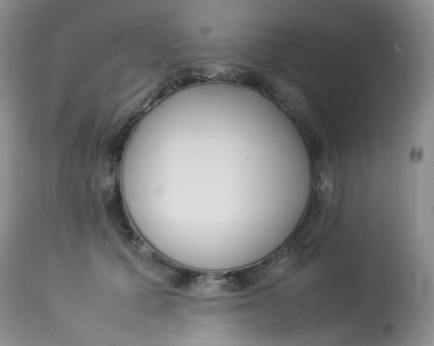 X0000112870607200909111534