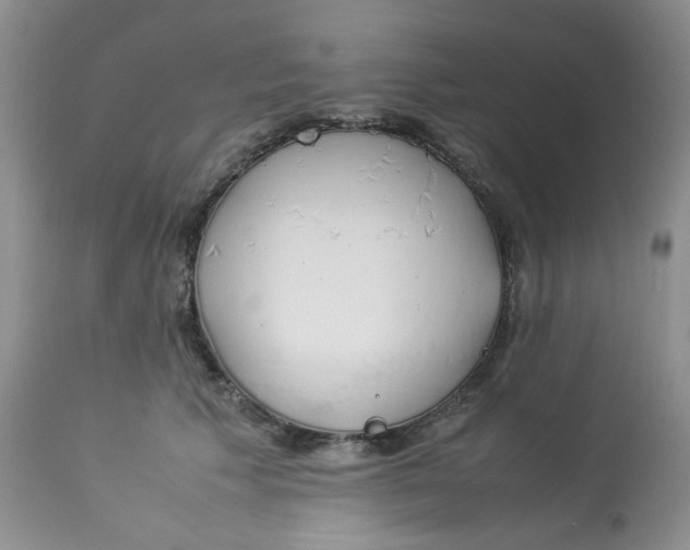 X0000112870609200909111534