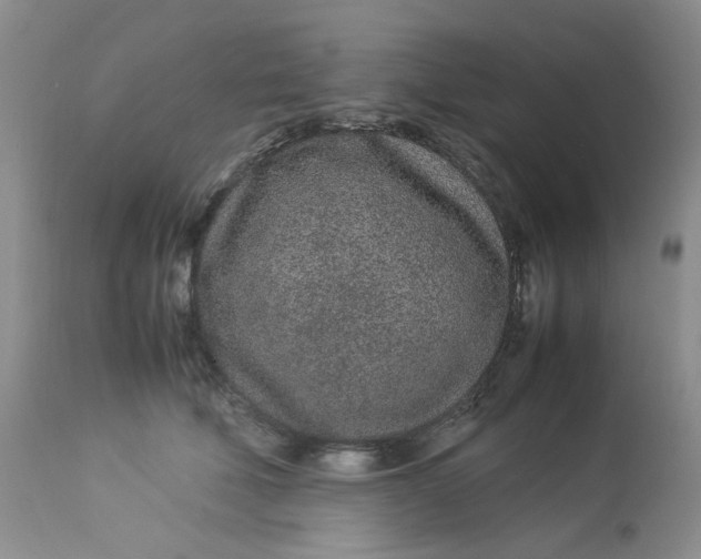 X0000112870610200909111534