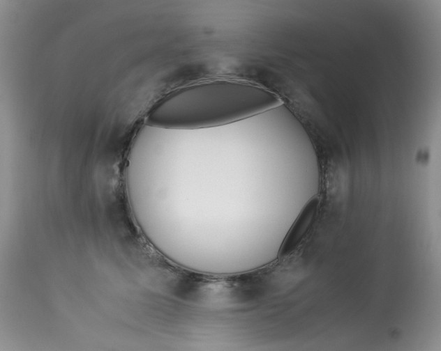 X0000112870611200909111534