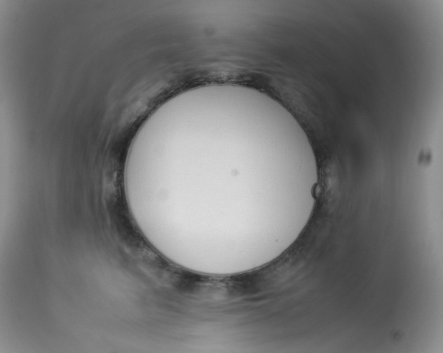 X0000112870615200909111534