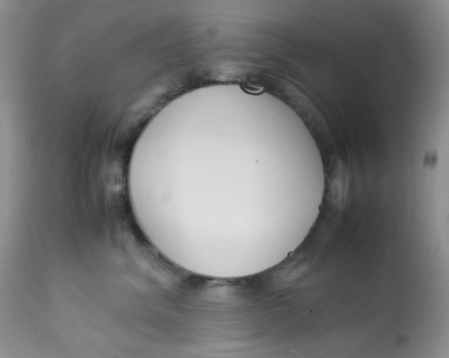 X0000112870620200909111534