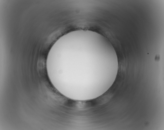 X0000112870623200909111534