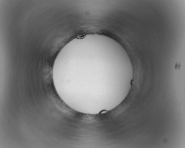 X0000112870624200909111534