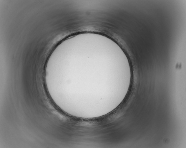 X0000112870625200909111533