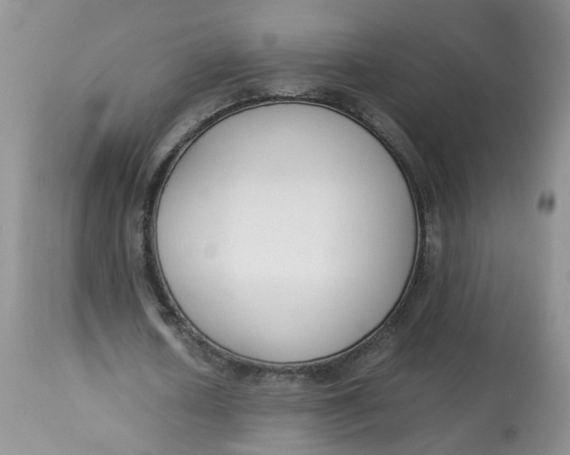 X0000112870626200909111533