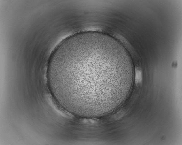 X0000112870627200909111533