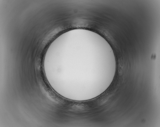 X0000112870631200909111533