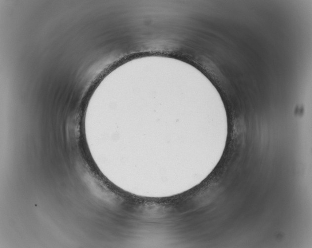 X0000112870632200909111533