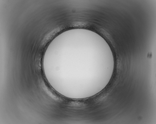 X0000112870633200909111533