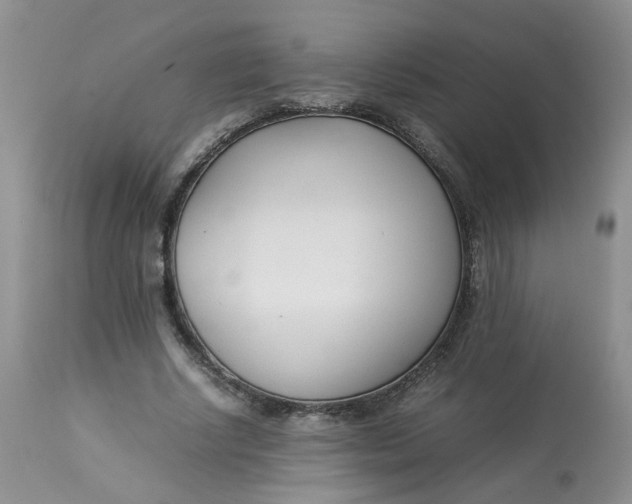 X0000112870634200909111533