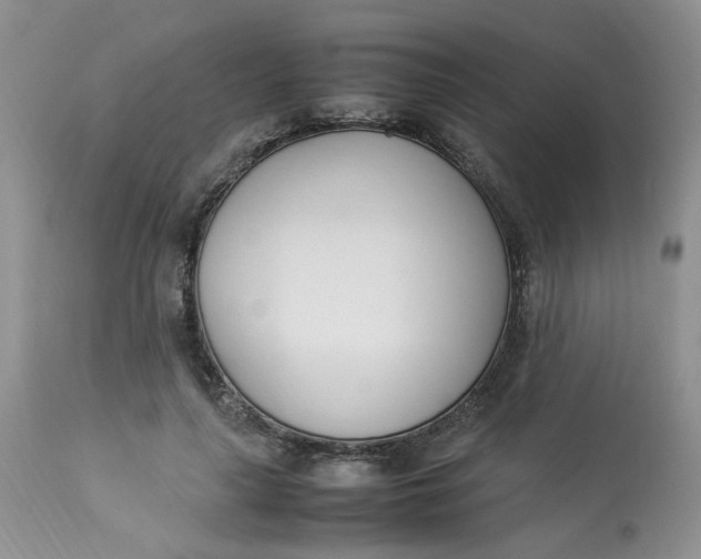 X0000112870643200909111533